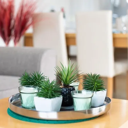 Apartamento Prime Homes Taoro Dachboden Puerto de la Cruz (Tenerife)